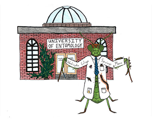 Praying Mantis in lab coat at university of Entomology